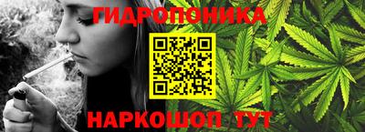 гашик Будённовск