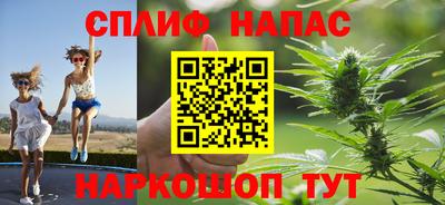 гашик Будённовск