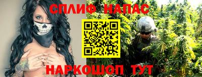 гашик Будённовск
