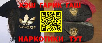 гашик Будённовск