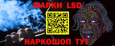 гашик Будённовск
